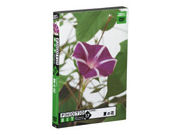 �t�H�g�r�b�g Vol.17 �Ẳ� �̐��i�摜