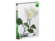 �t�H�g�r�b�g Vol.20 �K�N �̐��i�摜