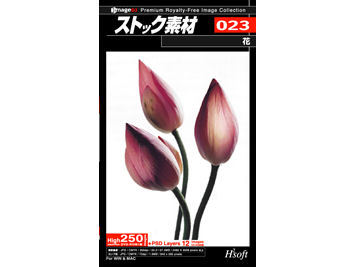 �X�g�b�N�f�� 023�� �̐��i�摜