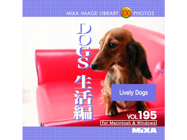 Mixa Image Library Vol.195 DOGS ������ �̐��i�摜