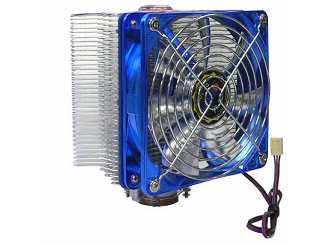 Vanessa-L �̐��i�摜