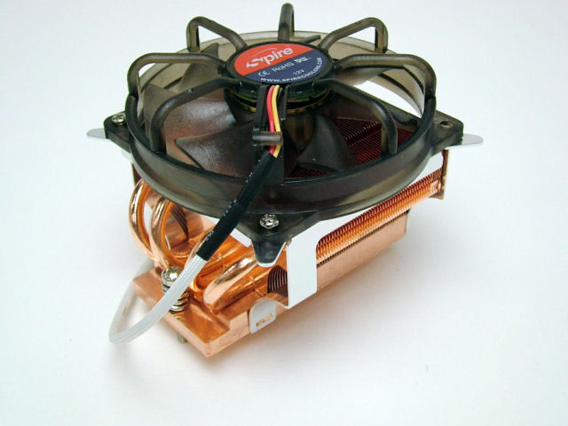 RAPACE �̐��i�摜