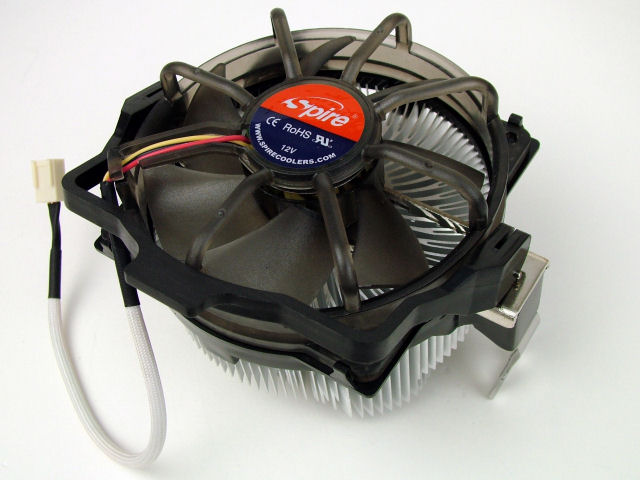 MARINA �̐��i�摜