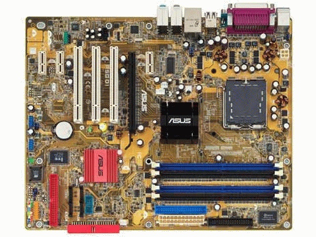 P5GD1 �̐��i�摜