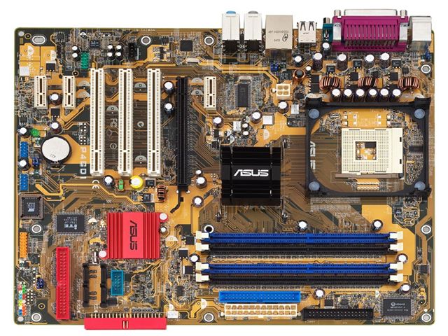 P4GD1 �̐��i�摜