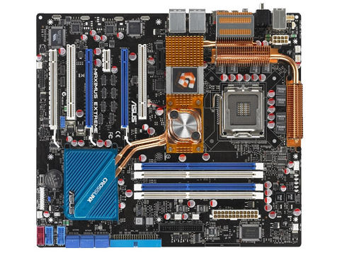 Maximus Extreme �̐��i�摜