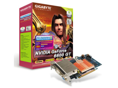 GV-NX66T256DE (PCIExp 256MB) �̐��i�摜