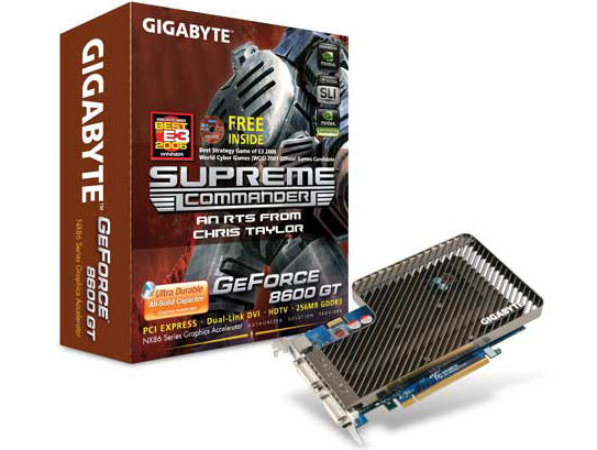 GV-NX86T256D (PCIExp 256MB) �̐��i�摜