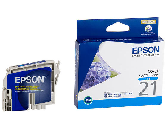 ICC21 (�V�A��) �̐��i�摜