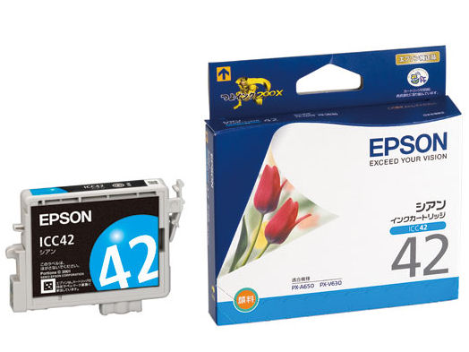 ICC42 (�V�A��) �̐��i�摜