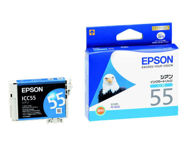 ICC55 (�V�A��) �̐��i�摜