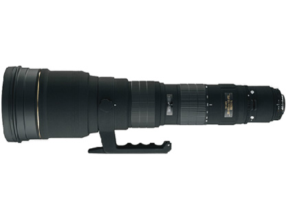 APO 300-800mm F5.6 EX DG HSM (ƺ� AF) �̐��i�摜