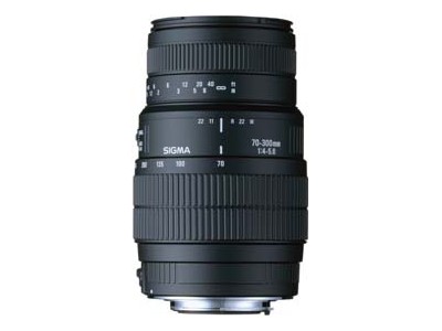 70-300mm F4-5.6 DG MACRO (���� AF) �̐��i�摜
