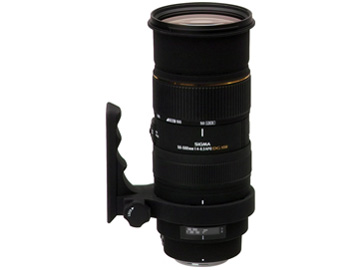 APO 50-500mm F4-6.3 EX DG HSM (̫����ޗp) �̐��i�摜