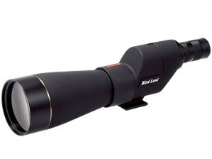 �o�[�h�����h80 �̐��i�摜