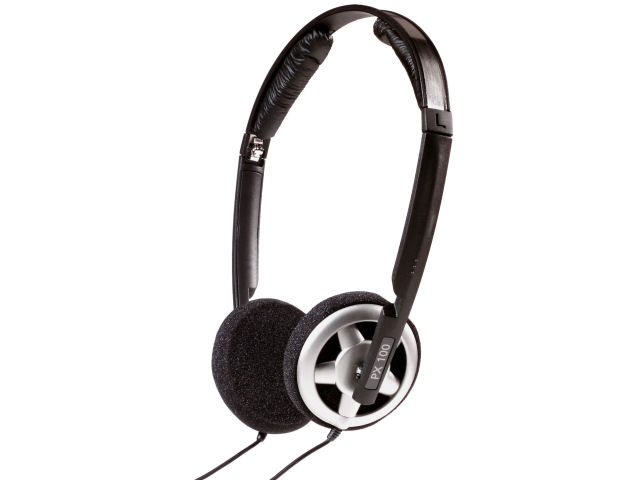 PX100 �̐��i�摜