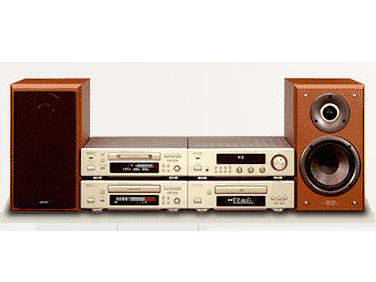 ef D-F100 �̐��i�摜