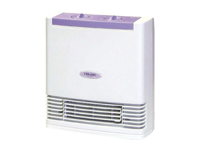 DS-12D1W �̐��i�摜