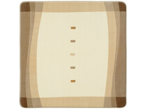 DC-2LN1 �̐��i�摜