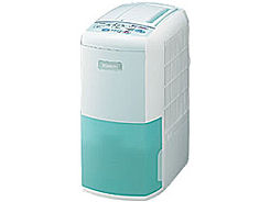 ���Ƃ薼�l RV-GB100 �̐��i�摜