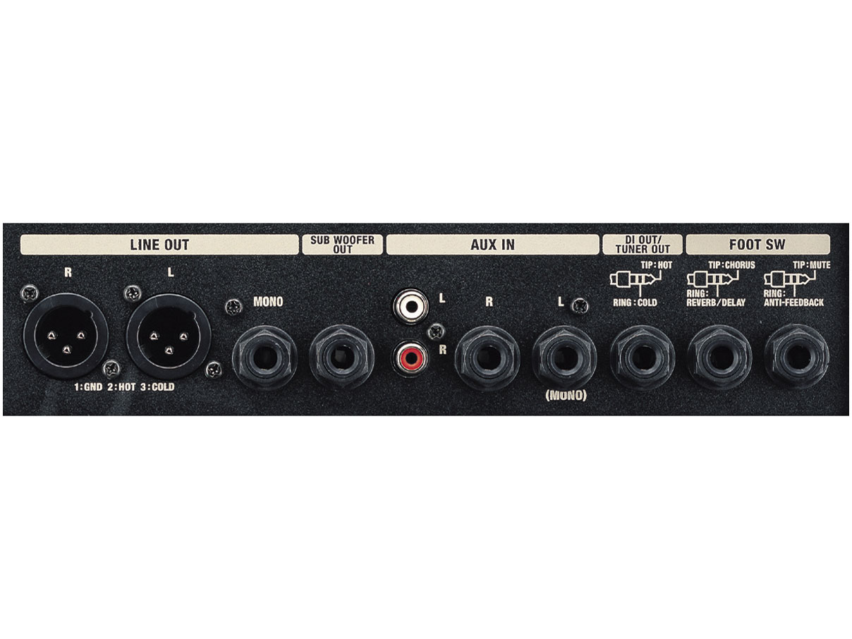 Acoustic Chorus AC-60