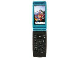 W53S �̐��i�摜