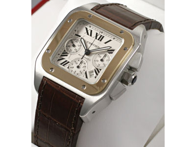 W20091X7 �T���g�X 100 �N���m�O���t ��������(�V���o�[) �̐��i�摜