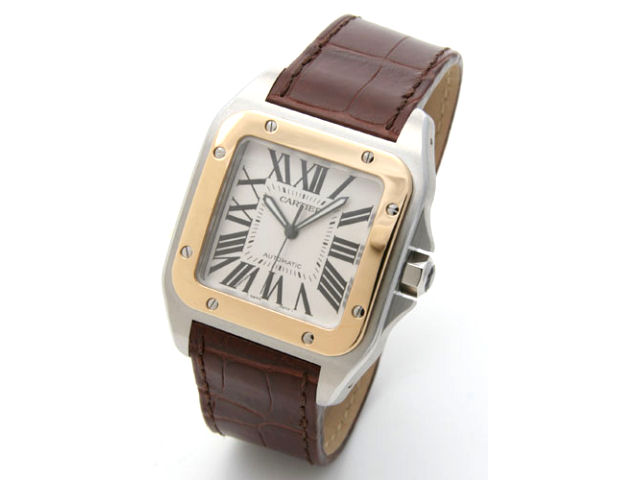 W20072X7 �T���g�X 100 ���������i�V���o�[�j �̐��i�摜