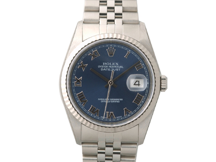 16234 �f�C�g�W���X�g ���������i�u���[�r�b�O���[�}���j �̐��i�摜