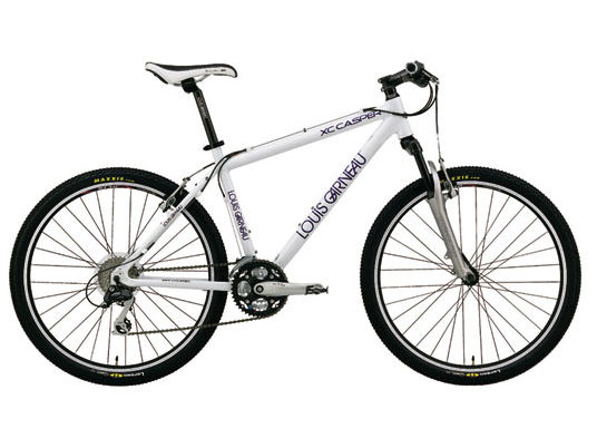 06 LGS-XC CASPER �̐��i�摜