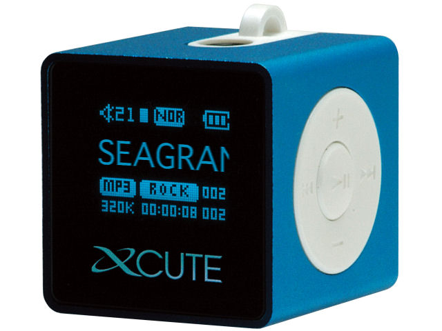 XC090 [256MB] �̐��i�摜