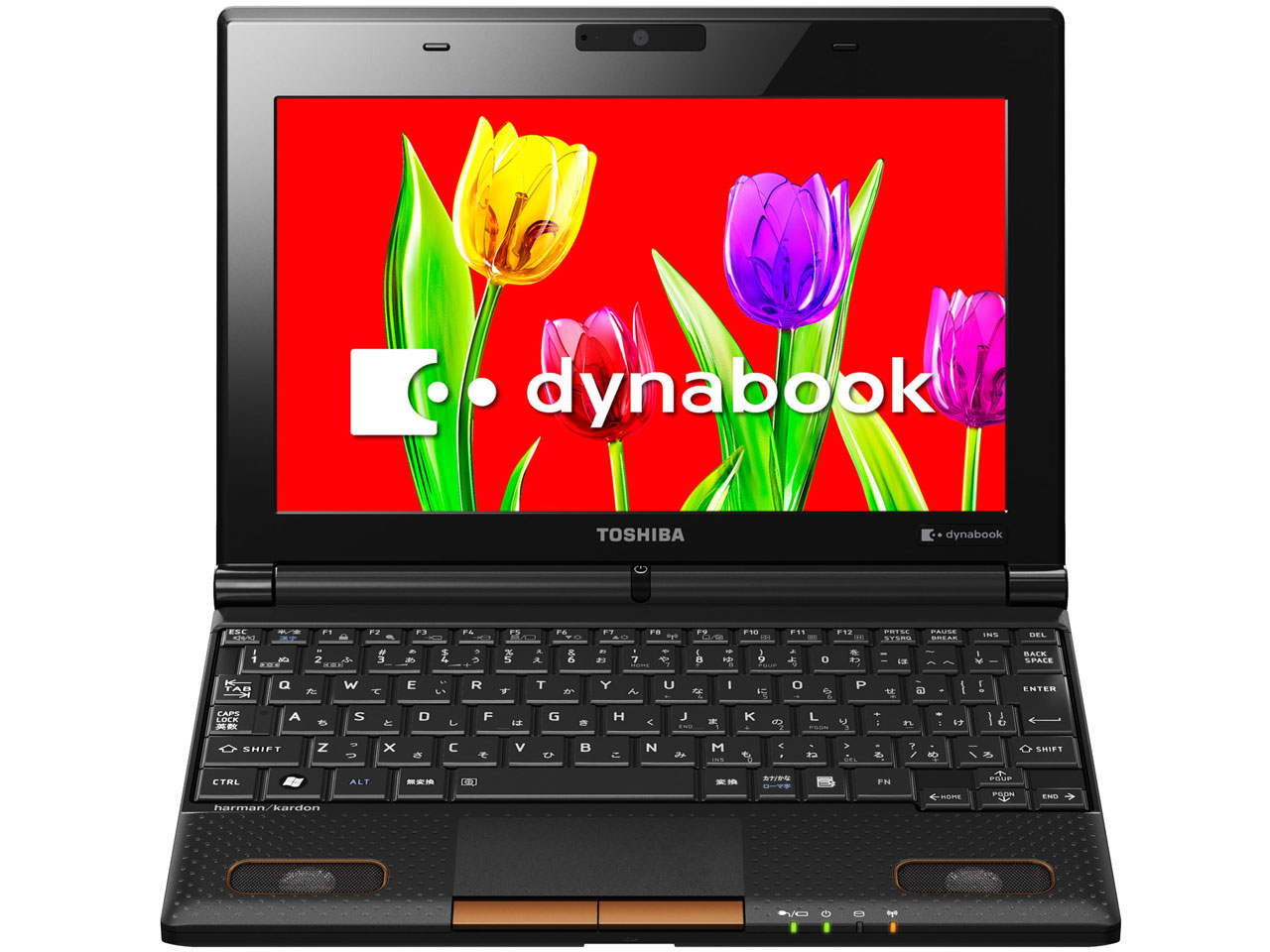 dynabook N301 N301/02E 2012�N�ă��f�� �̐��i�摜