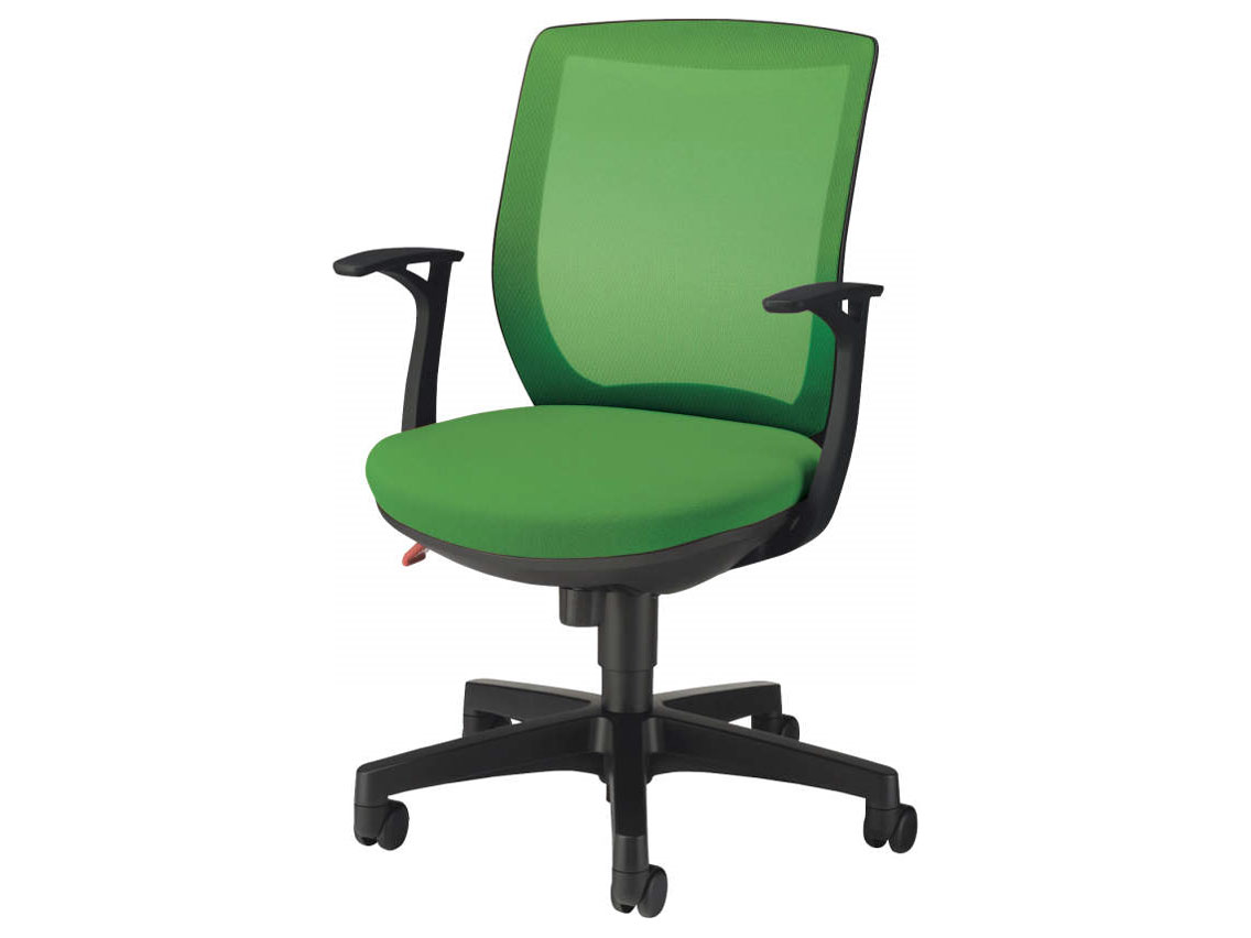 �A�~�m No.2216F �̐��i�摜