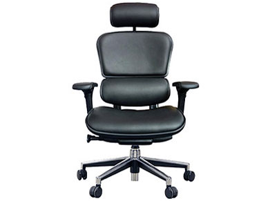 Ergohuman Basic EH-HAL �̐��i�摜