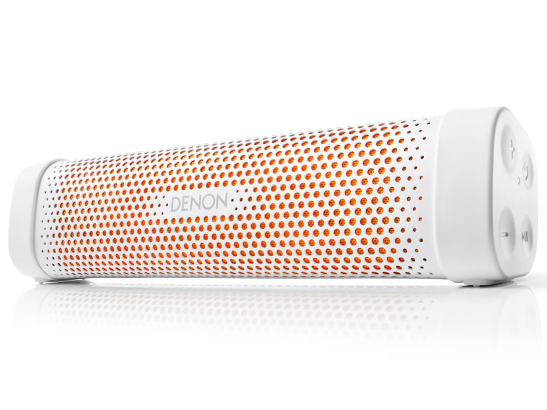 DSB-100 �̐��i�摜