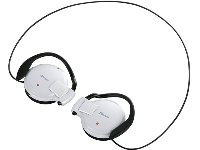 BSHSBE09A �̐��i�摜