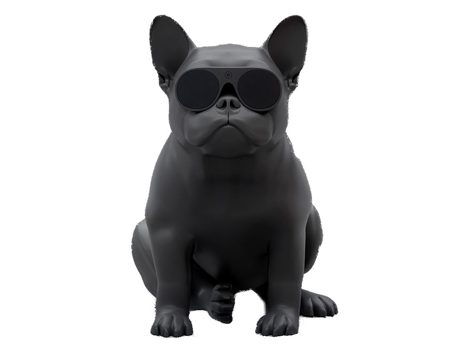 AeroBull XS1 �̐��i�摜