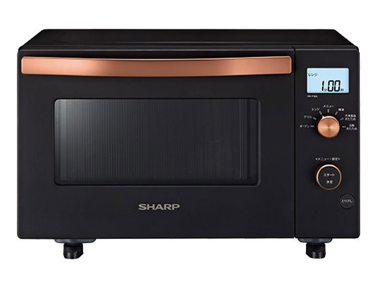 RE-F18A �̐��i�摜