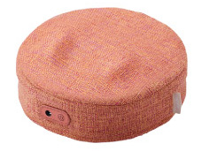 ルルド フットマッサージャー プロ AX-HPL304