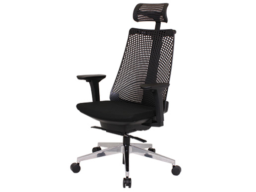 �T���_�`�F�A ���I YL9 �̐��i�摜