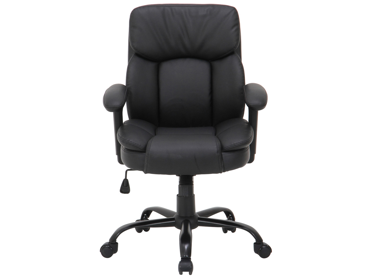 PU�v���W�f���g�`�F�A�[ �}���`�F�X�^�[ �̐��i�摜