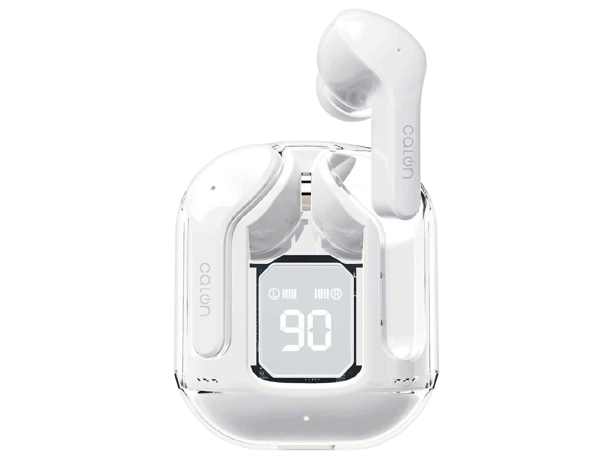 calon RTWS06 �̐��i�摜