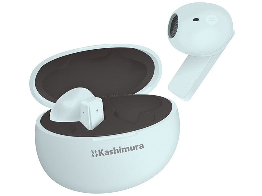 BL-131 �̐��i�摜