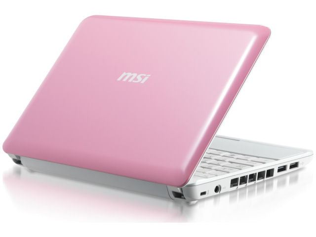 Wind Netbook U100 Vogue-PK �̐��i�摜