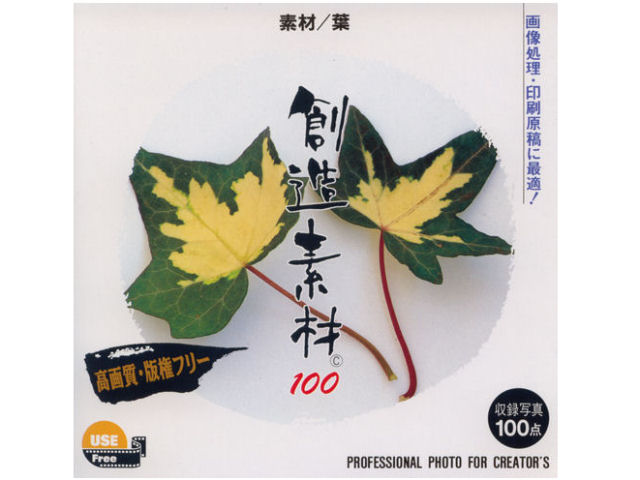 �n���f��100 �f��/�t �̐��i�摜