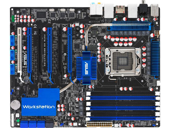 P6T6 WS Revolution �̐��i�摜