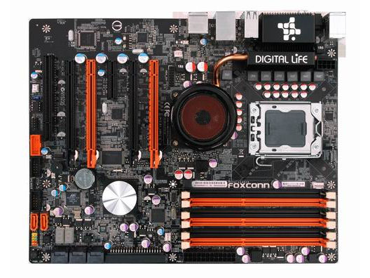 Renaissance �̐��i�摜