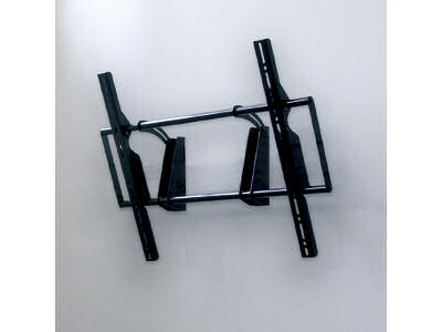 CR-PLKG1 �̐��i�摜