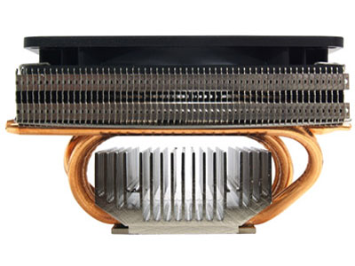 SHURIKEN ���r�W����B SCSK-1100