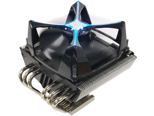 KILLER WHALE �̐��i�摜